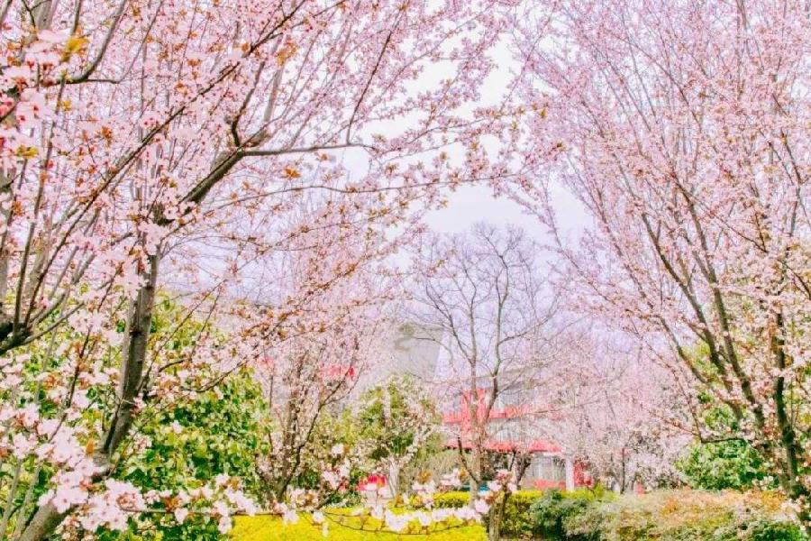荐赏【神州源流诗苑】总第590期[优秀现代诗]（含其他）周刊（图3）