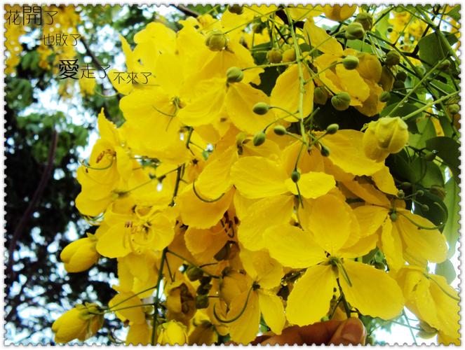 荐赏【神州源流诗苑】总第590期[优秀现代诗]（含其他）周刊（图5）