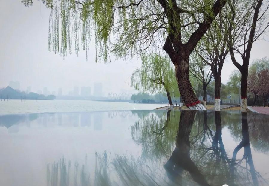 【春雨】焦作诗词学会红叶诗社同题专辑(14)(图19)