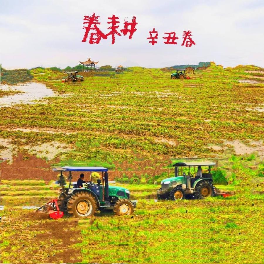 *春种时节 *作者 任国璠（甘肃永登）【冰心文化传媒】（图7）
