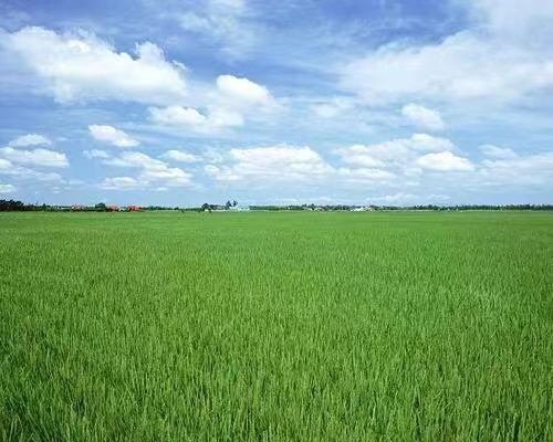 江南诗絮-0509【现代诗苑】(图4)