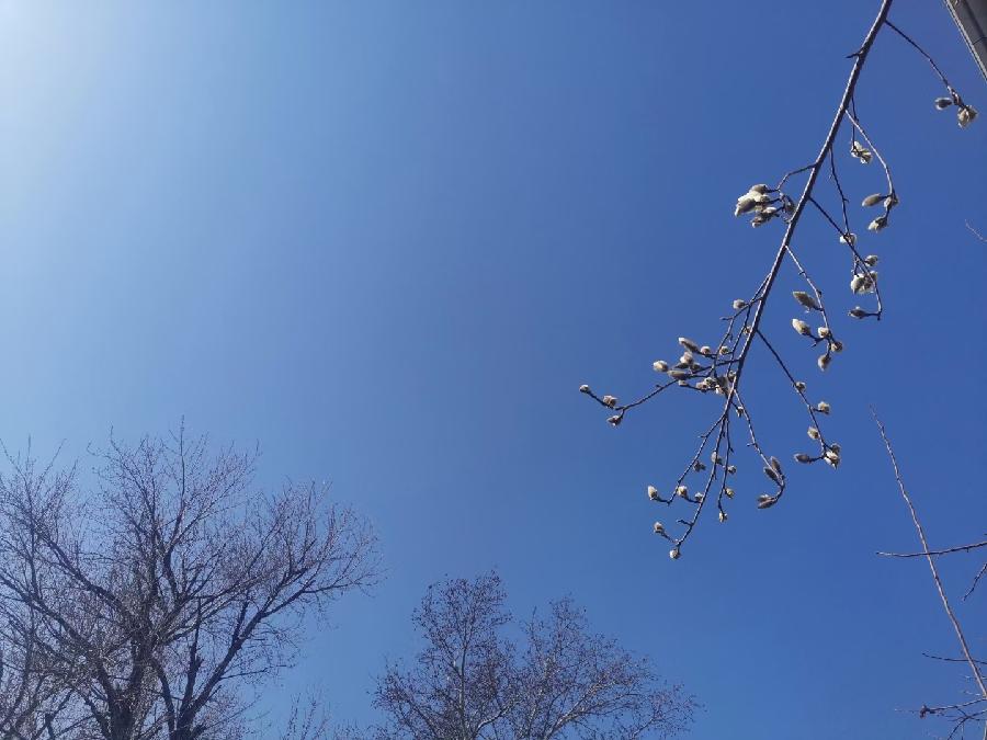 江南诗絮-0509【现代诗苑】(图8)
