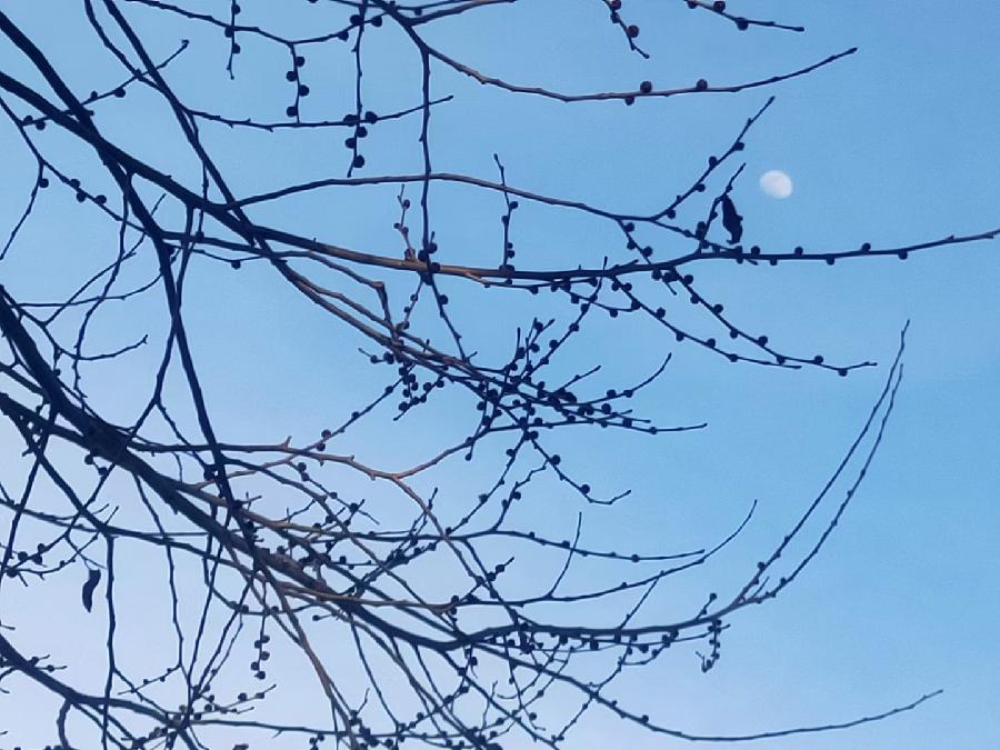 江南诗絮-0509【现代诗苑】(图17)