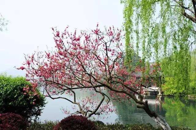 （诗词小辑）（新韵）作者:王新华（河北）【冰心文化传媒】（图4）