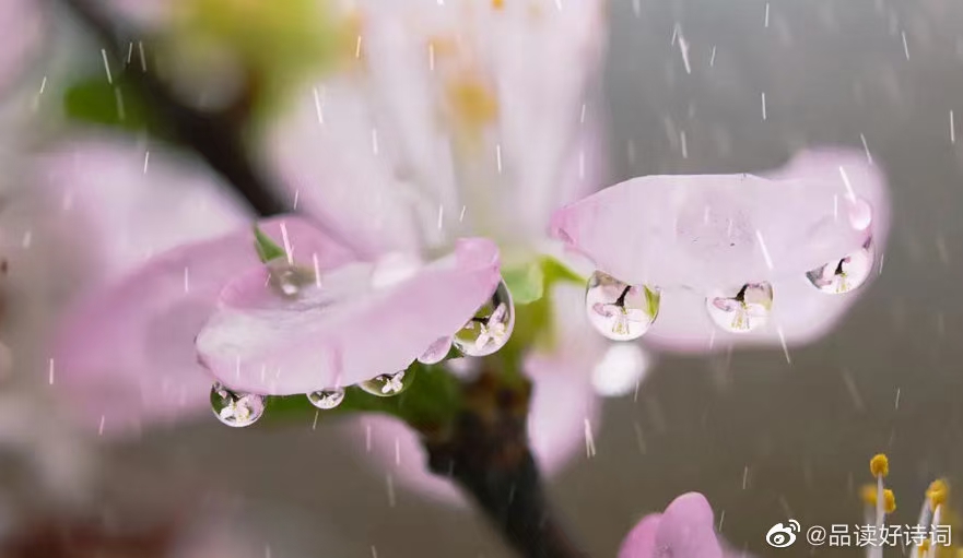 《上海作家-过子泉》诗文(图3)