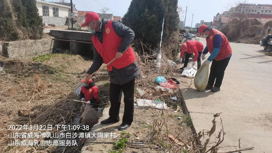 美化乡村环境 志愿者在行动