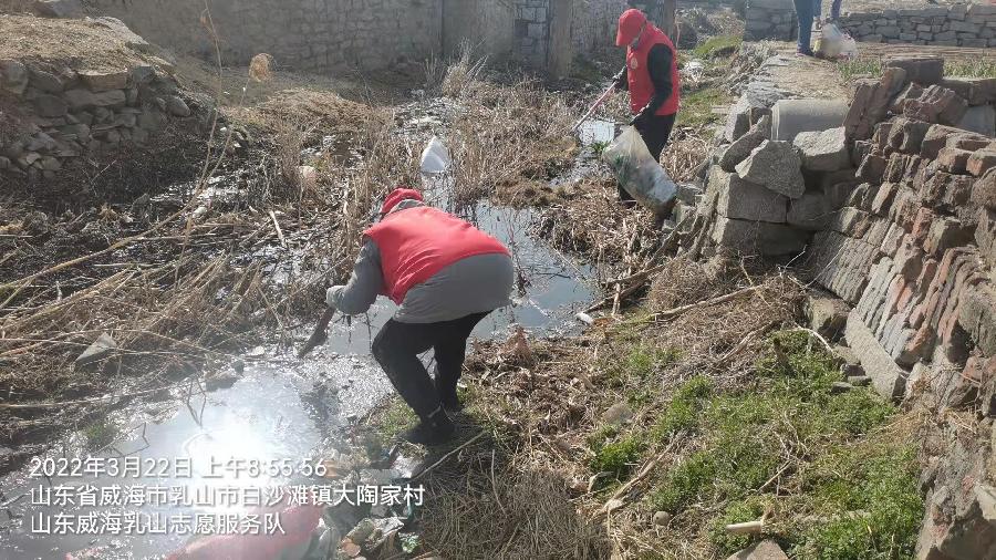 美化乡村环境 志愿者在行动(图2)