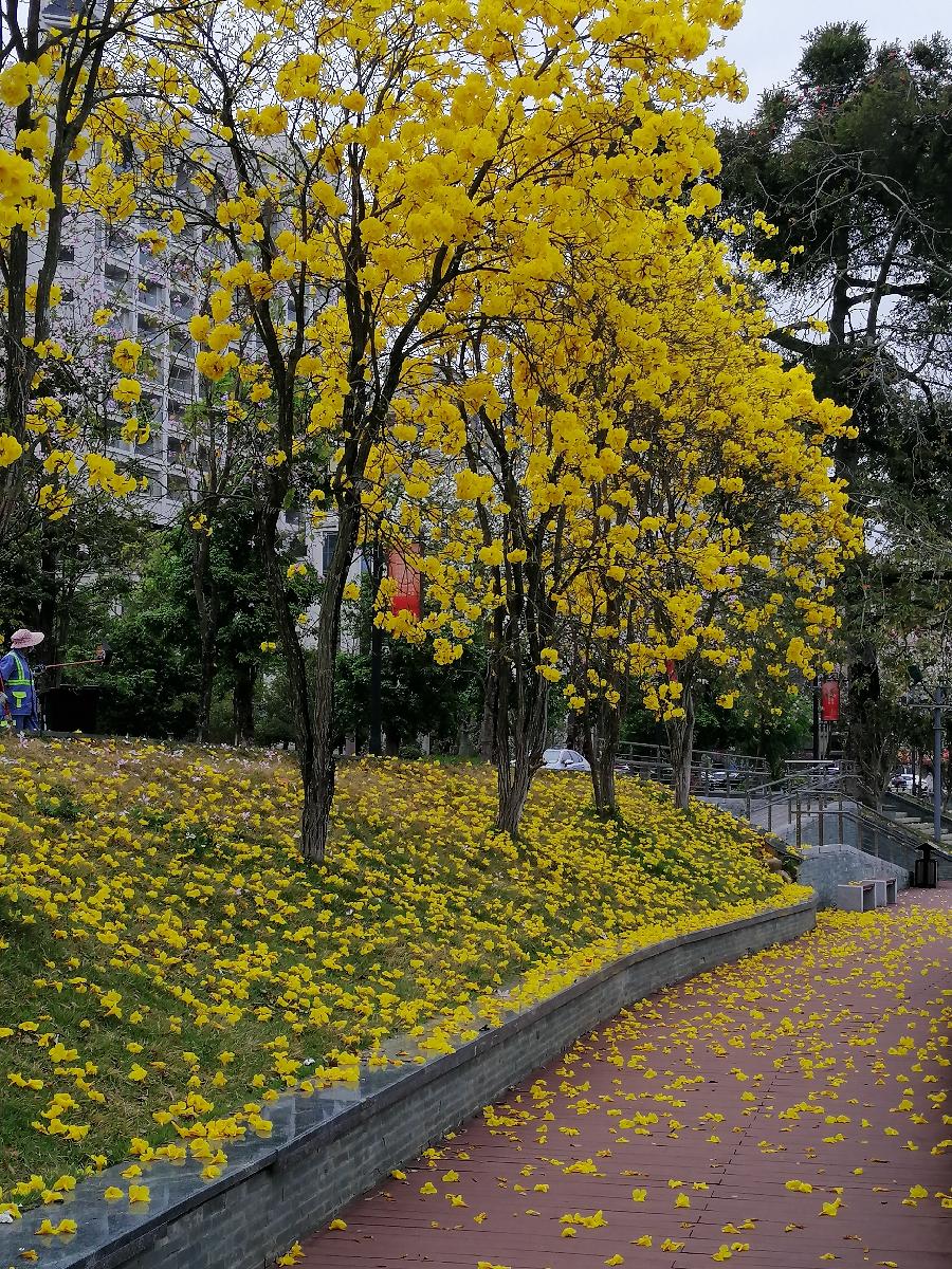 五律 春（三首）文／江冲（图9）