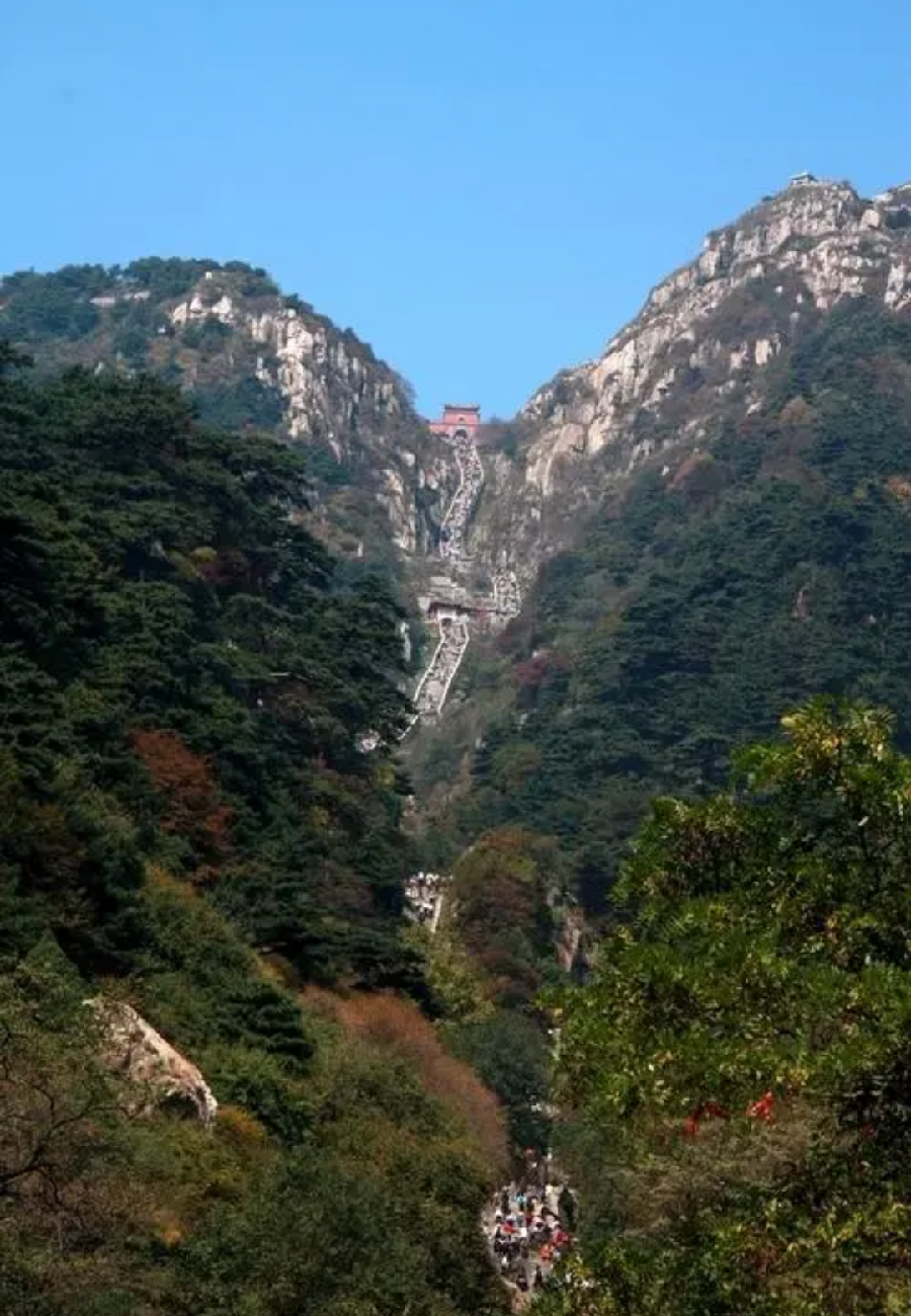 泰山之巅 作者：严宏宇 京津沪头条