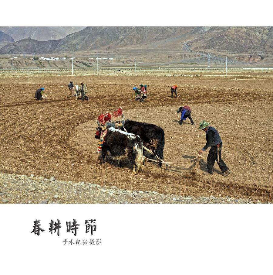 【潇湘文学社】潇湘紫竹诗社《春耕》(总295期)(图11)