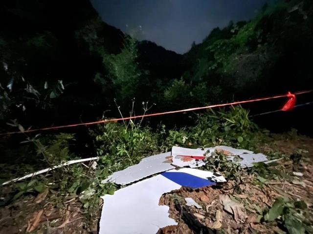 悼念东航客机遇难者Ⅱ文/赵京江，图/网络，书法/太行山人武功（图4）