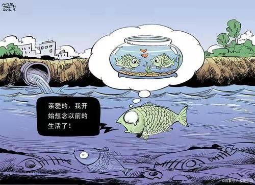 思帝乡-荒唐日竟向学生宣传核污可当茶(词林正韵) 文/冯志清(上海)【冰心文化传媒】(图9)