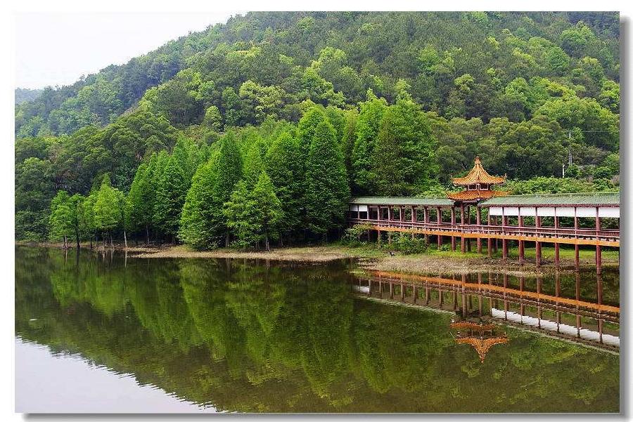【九江文学社：北京头条】推荐欣赏丘新梅先生佳作（图11）