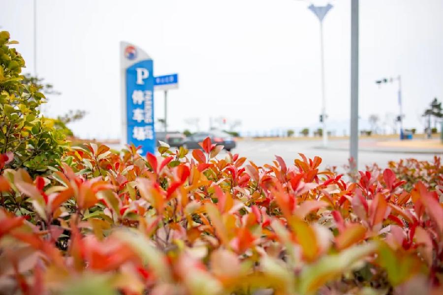 青岛聆泉诗社041期｜春赋待疫消雅赋七十首（图16）