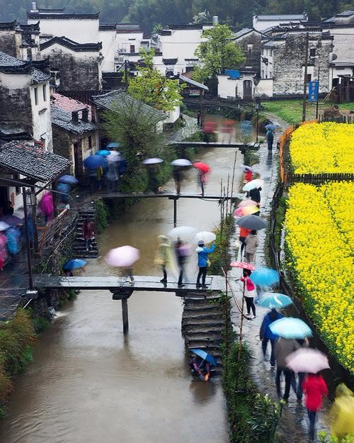 江南雨 作者:渝陇之子 京津沪头条(图2)
