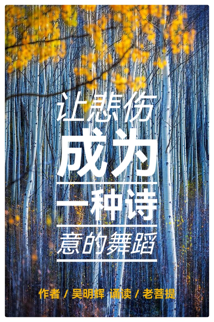 吴明辉诗歌选读ll让悲伤成为一种诗意的舞蹈ll诵读 老菩提