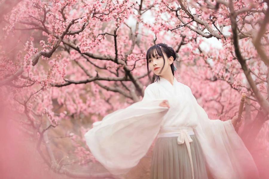 《讨一枝桃花寄赠予你》作者/蝶为云衣 主播/雪球 编辑/胡琴(图4)