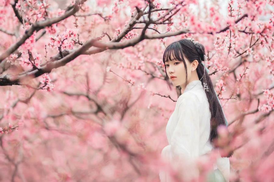 《讨一枝桃花寄赠予你》作者/蝶为云衣 主播/雪球 编辑/胡琴(图6)