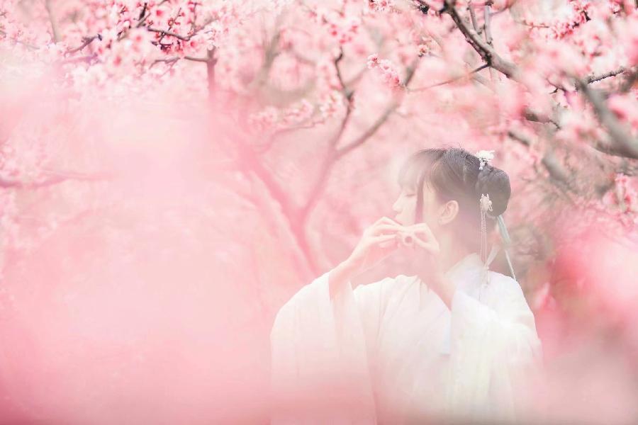 《讨一枝桃花寄赠予你》作者/蝶为云衣 主播/雪球 编辑/胡琴(图7)