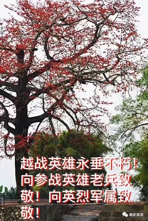 【九江文学社：北京头条】推荐欣赏优秀散文诗《那年木棉花开》文/陈新良先生（图13）