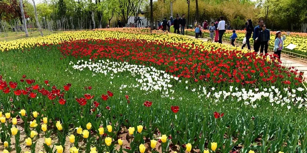 113707926.jpg 韪忔槬02.webp.jpg