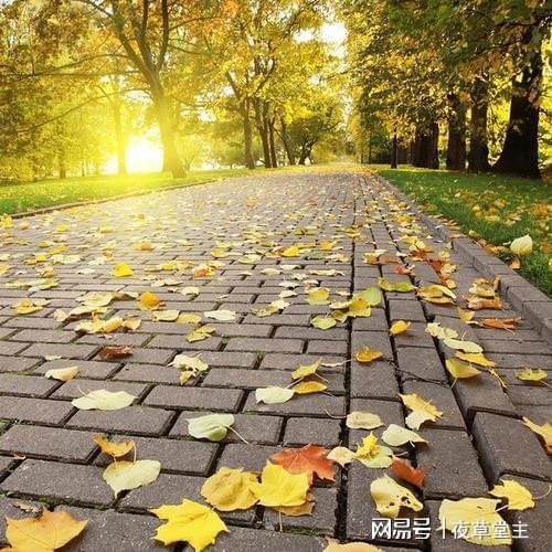【九江文学社：北京头条】推荐欣赏优秀散文诗《那年木棉花开》文/陈新良先生（图8）