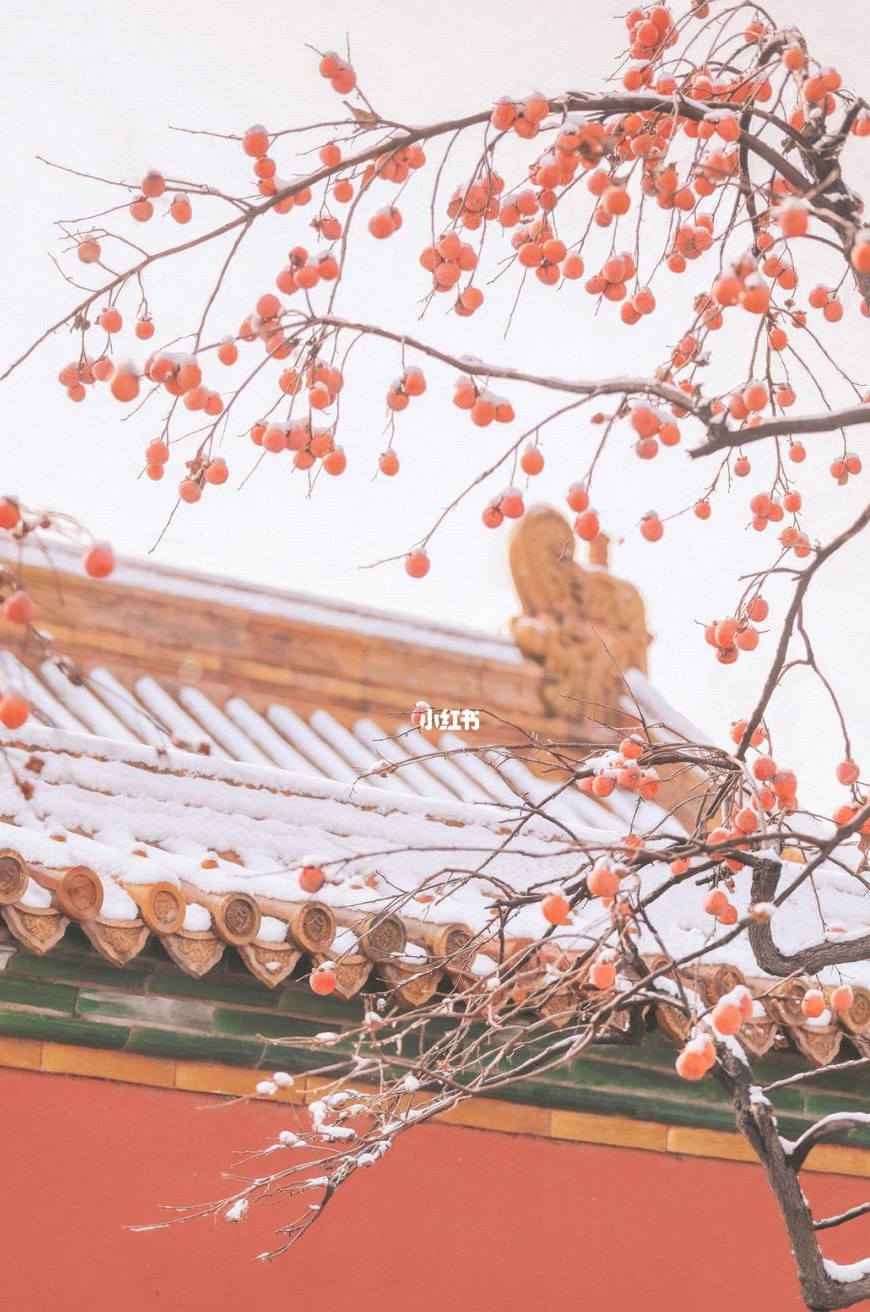 蒋振军歌词《爱我中国》主播：梅竹；编辑：香乡【北疆头条】（第184期）（图6）