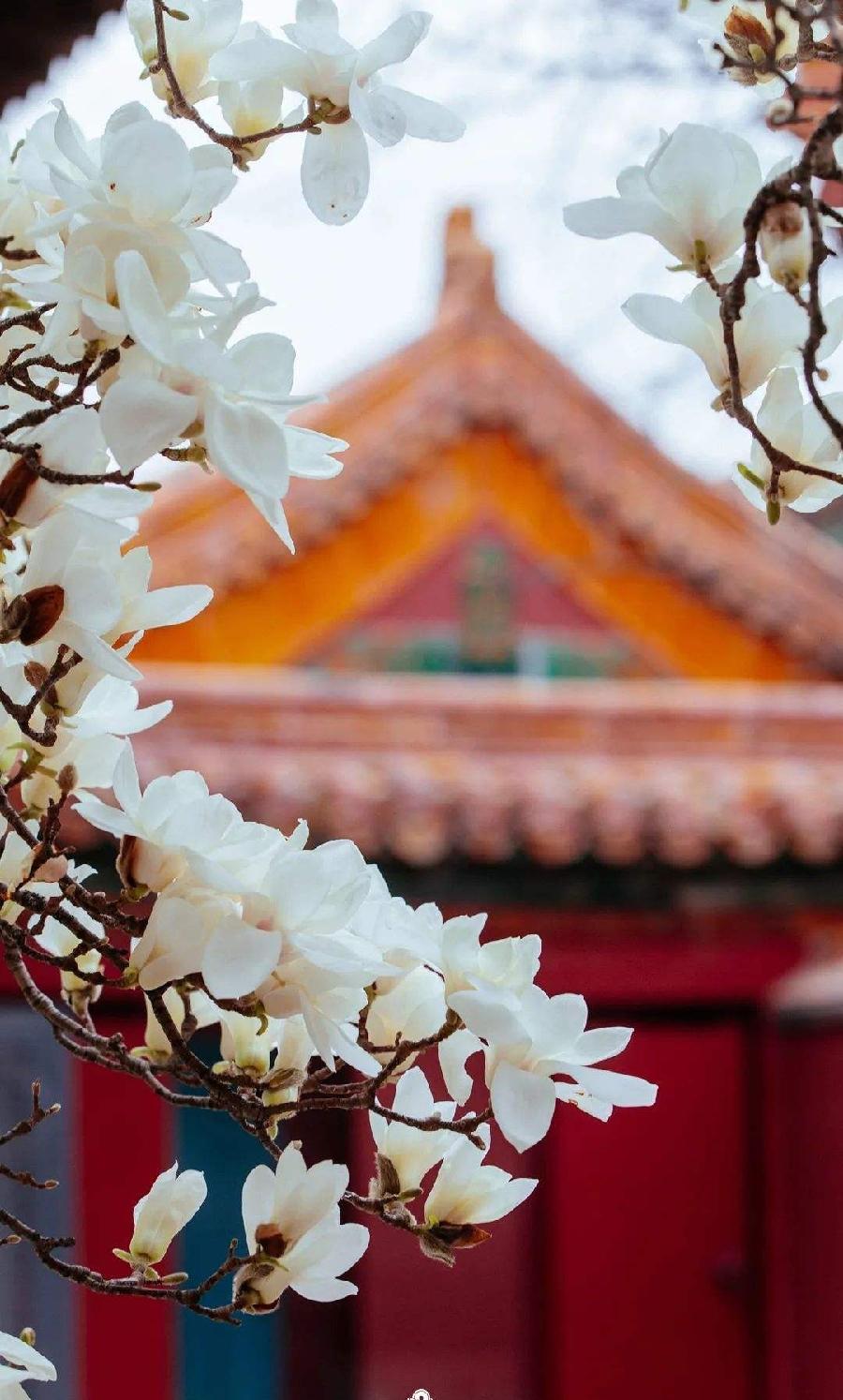 蒋振军歌词《爱我中国》主播：梅竹；编辑：香乡【北疆头条】（第184期）（图16）