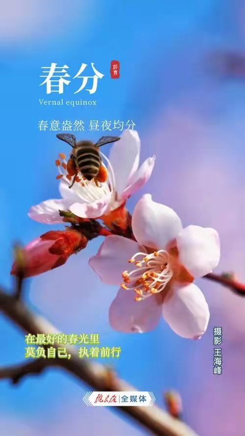 推荐【神州源流诗苑】总第593期[原创佳词]周刊（图4）