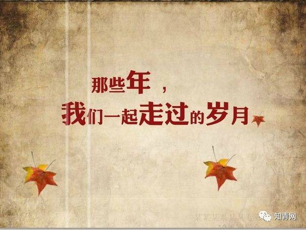 【经典推荐】张汝松//五律•梅{系列作品展}(图10)