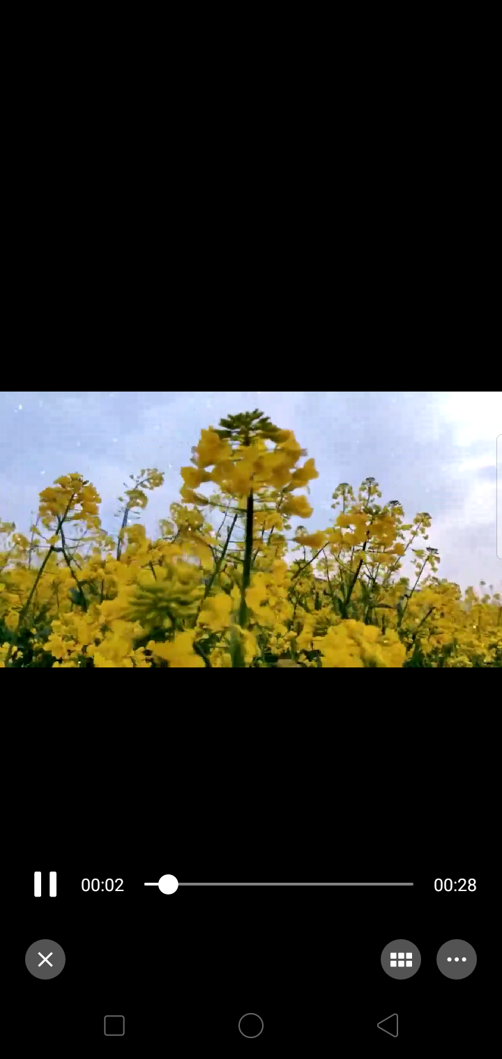 春晌之趣