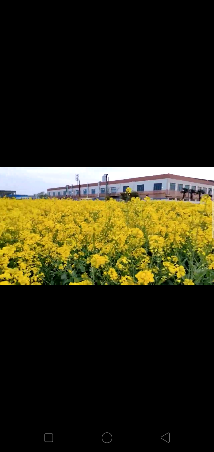 春晌之趣（图3）