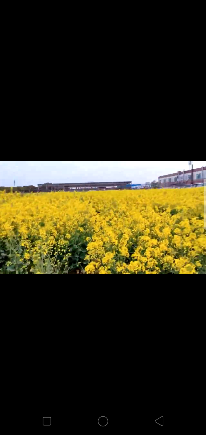 春晌之趣（图6）