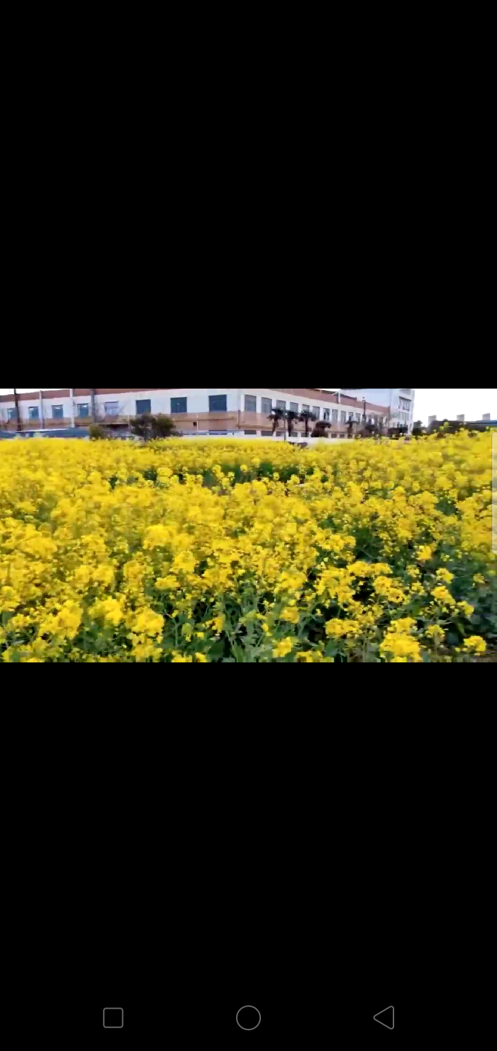 春晌之趣（图7）