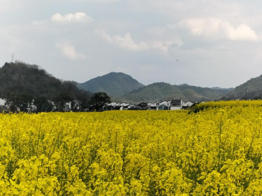 【九江文学社：北京头条】散文诗《山水情》文/放飞（图5）
