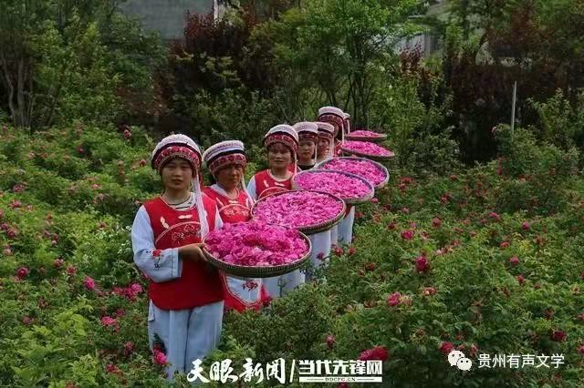 寰俊鍥剧墖_20220325083049.jpg