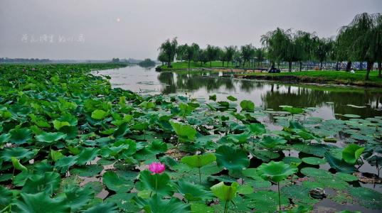 中华诗艺九江格律诗词鉴赏(合辑)第1407期(图72)