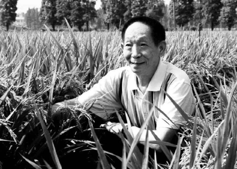 《中国爱情诗刊》 【中国爱情诗人档案】(第4308期)广东诗人:倩梦的诗(图4)