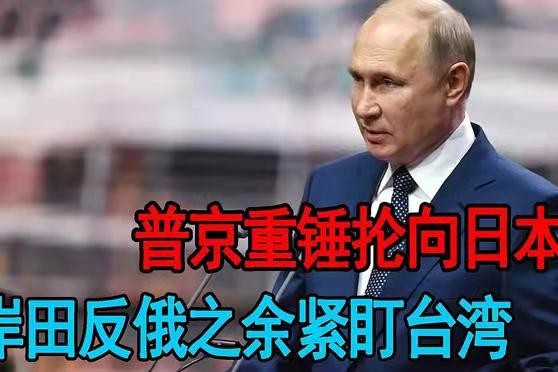 珠帘卷-普京叫停俄日和平条约谈判(词林正韵)文/冯志清(上海)【冰心文化传媒】(图5)