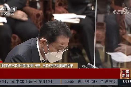 珠帘卷-普京叫停俄日和平条约谈判(词林正韵)文/冯志清(上海)【冰心文化传媒】(图6)