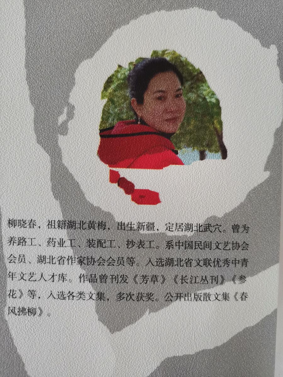 新疆是一棵树,他们就是这棵树植根的土——评柳晓春的《白棉花》(图2)