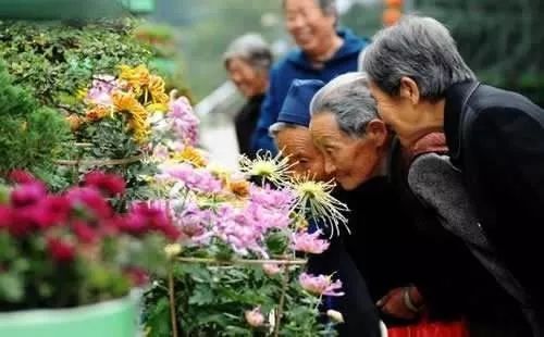 【新山东文学社】《老者晚年（外二首）》作者/石市老者 主播/苏宁（图4）