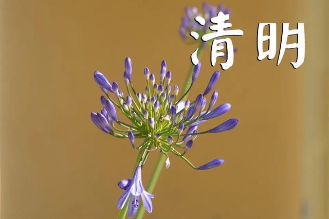 【清明感怀】曾培方//清明节感恩｛外二首｝（图6）