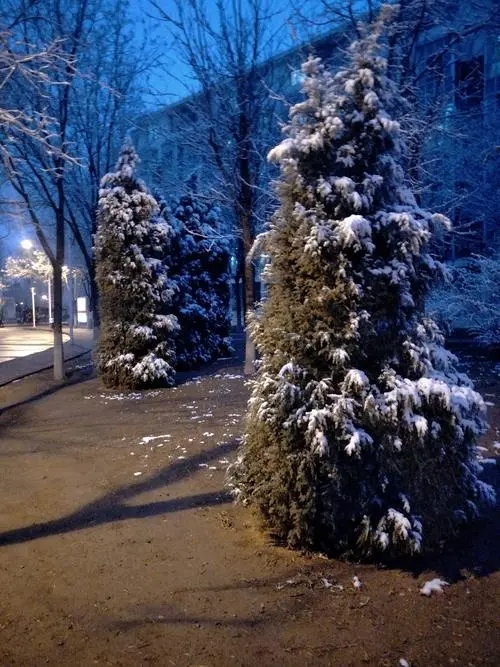 春 雪Ⅱ文图/赵京江（图4）