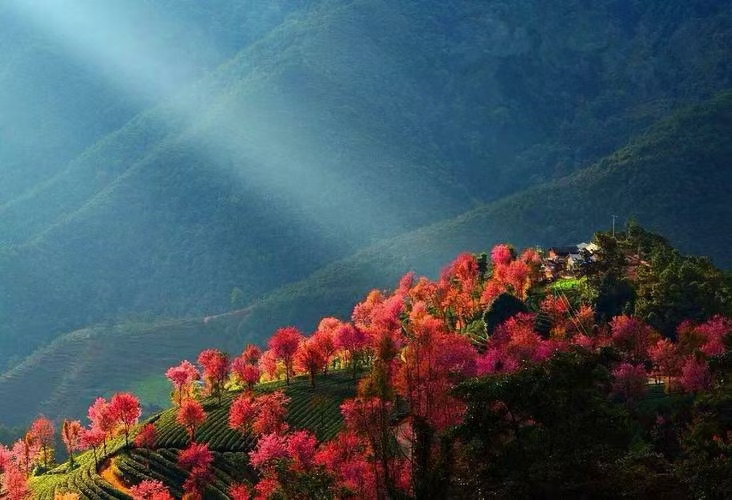 江南诗絮-0510【古韵风采】(图9)