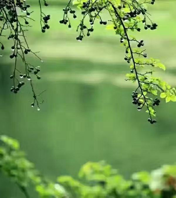 江南诗絮-0510【古韵风采】(图10)