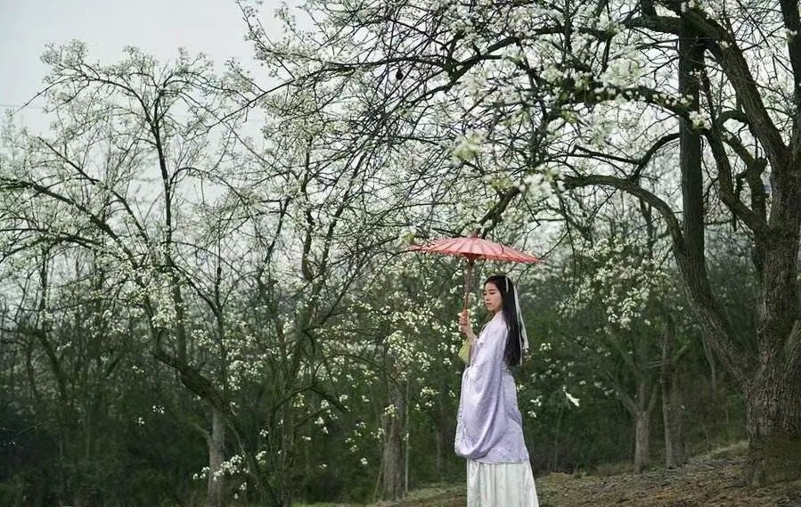 光阴里的旧疾（外三首）文／芦国柱（江苏镇江）【冰心文化传媒】（图4）