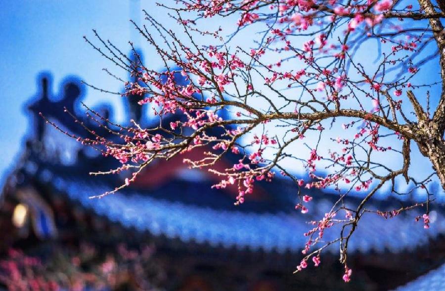 〔绝律小辑〕作者 王新华(河北)【冰心文化传媒】(图8)