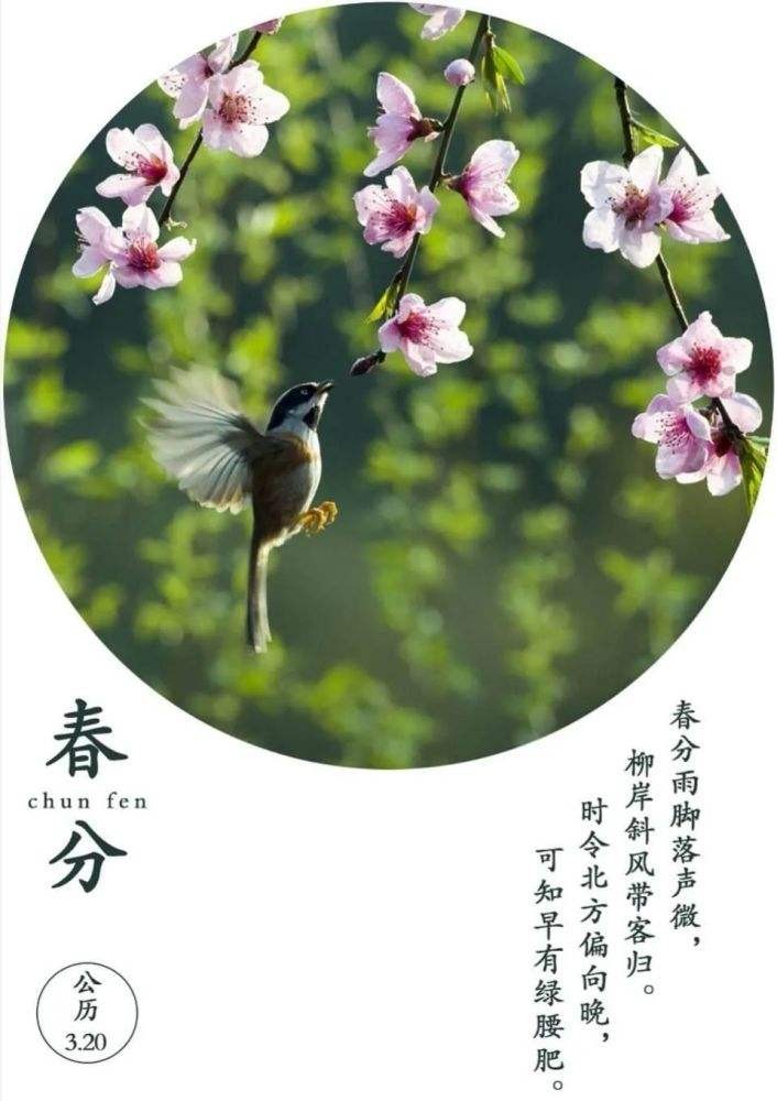 【潇湘文学社】潇湘如兰诗社《春分》(总297期)(图7)