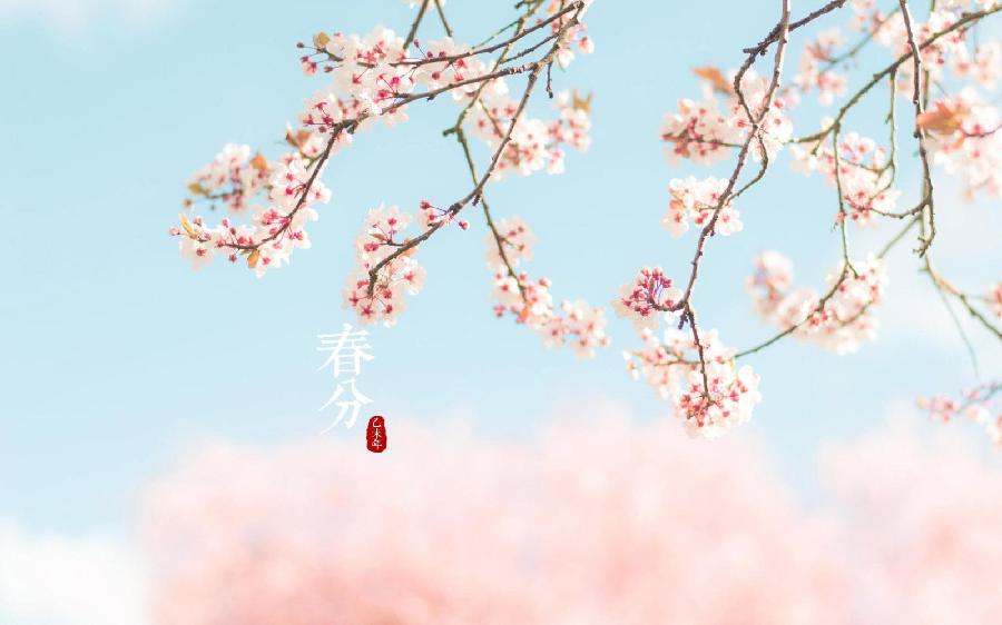 【潇湘文学社】潇湘如兰诗社《春分》(总297期)(图12)
